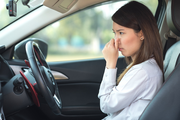 Why Does My Car A/C Reek?