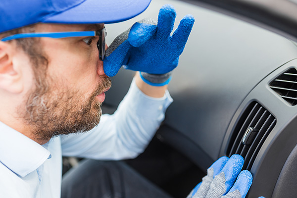 What Is a Climate System Purification Service and Does Your Car Need One?